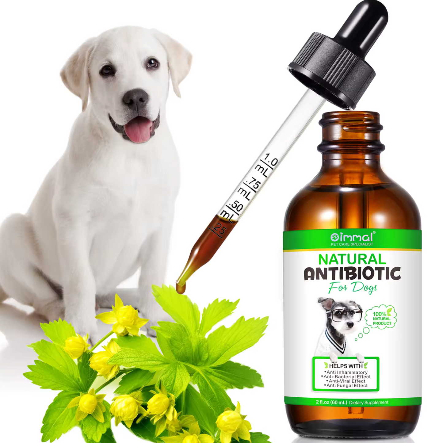 PawGuard™ Natural Dog Antibiotic Drops – Immune & Infection Support