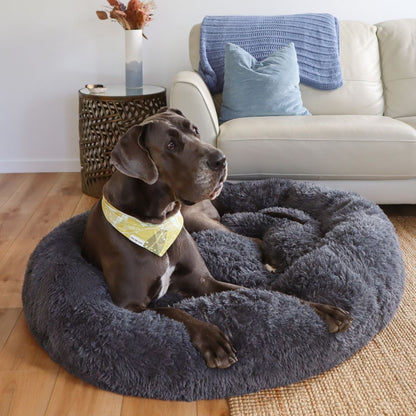 DreamPaws - Calming Plush Dog Bed for Ultimate Relaxation