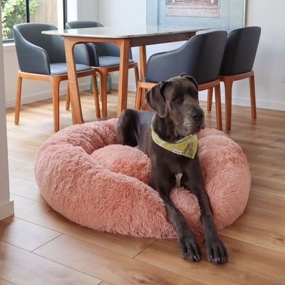 DreamPaws - Calming Plush Dog Bed for Ultimate Relaxation