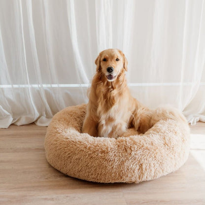 DreamPaws - Calming Plush Dog Bed for Ultimate Relaxation