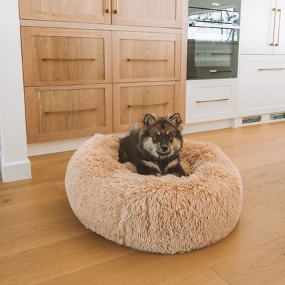 DreamPaws - Calming Plush Dog Bed for Ultimate Relaxation