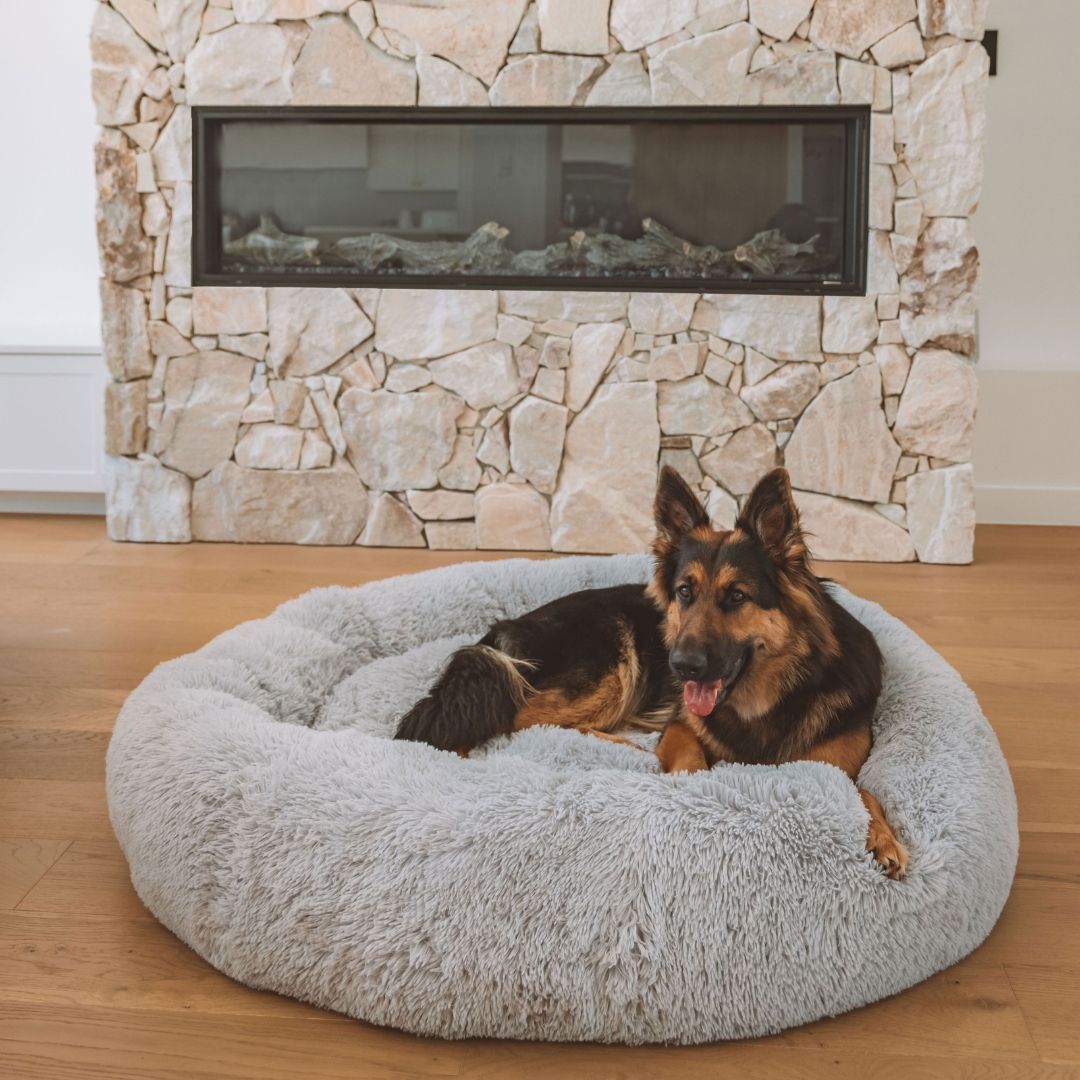 DreamPaws - Calming Plush Dog Bed for Ultimate Relaxation