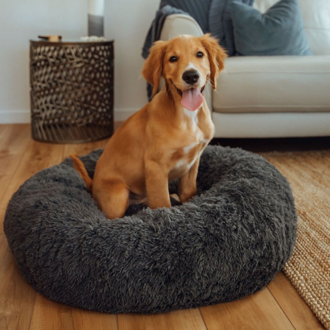 DreamPaws - Calming Plush Dog Bed for Ultimate Relaxation