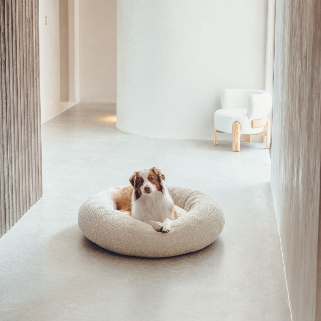 CozyPaws™ Luxe Bouclé Dog Bed – Ultra-Soft, Stylish & Calming