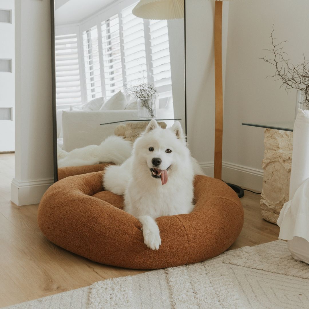 SnugglePup Ultra-Plush Teddy Dog Bed – Cozy, Soft & Supportive