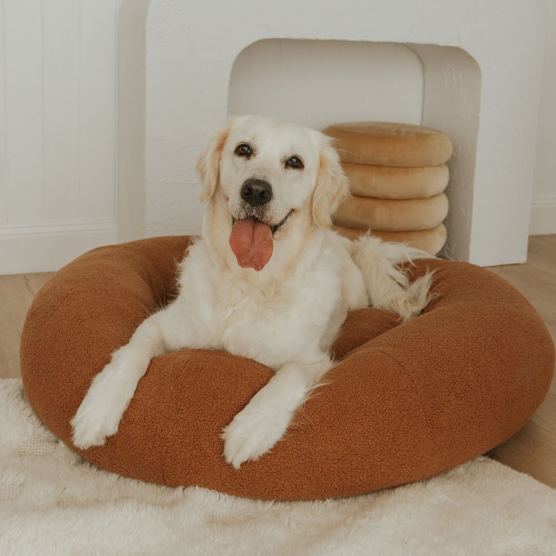 SnugglePup™ Teddy Bed Spare Cover – Soft, Washable & Long-Lasting