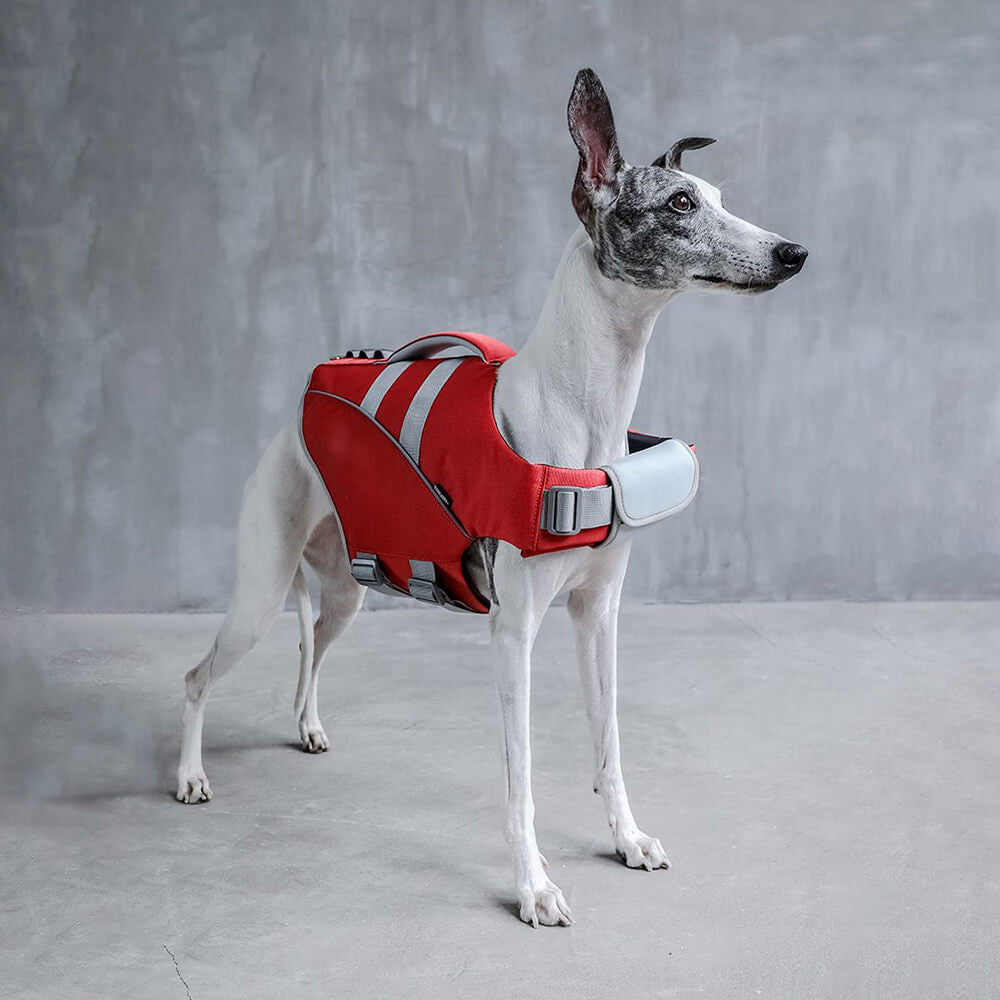 WavePaws Dog Life Jacket – Secure & Stylish Water Safety Vest