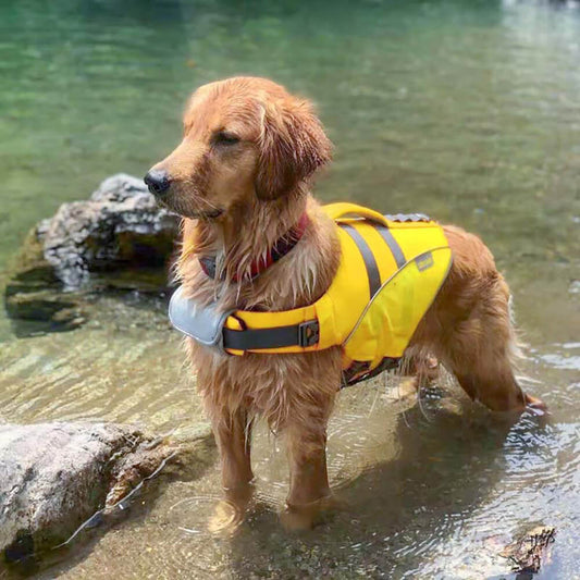 WavePaws Dog Life Jacket – Secure & Stylish Water Safety Vest