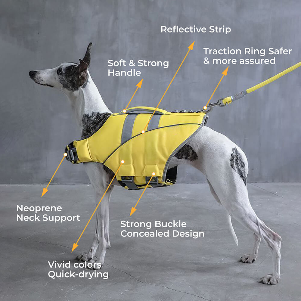 WavePaws Dog Life Jacket – Secure & Stylish Water Safety Vest