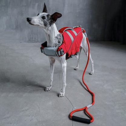 WavePaws Dog Life Jacket – Secure & Stylish Water Safety Vest