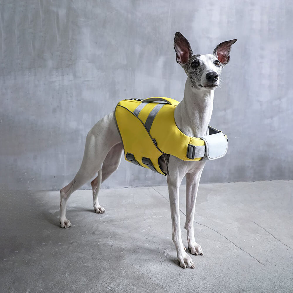 WavePaws Dog Life Jacket – Secure & Stylish Water Safety Vest