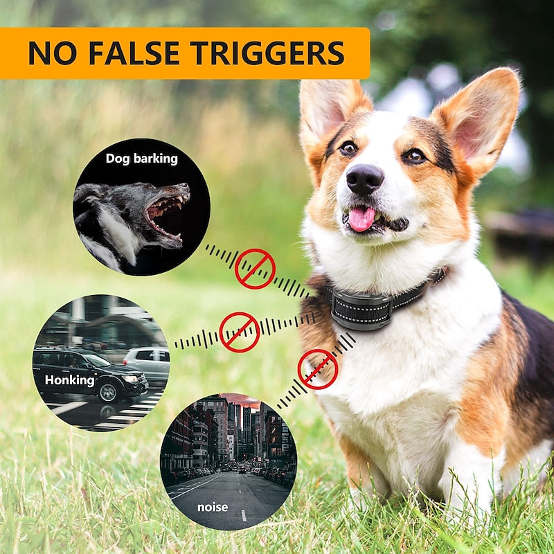 PawQuiet Adjustable Anti-Bark Dog Collar – Safe, Humane & Waterproof