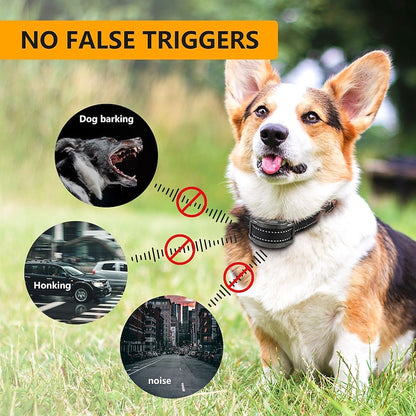 PawQuiet Adjustable Anti-Bark Dog Collar – Safe, Humane & Waterproof