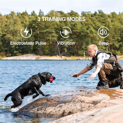 PawGuardian™ Smart Anti-Bark & Training Collar – Waterproof & Rechargeable