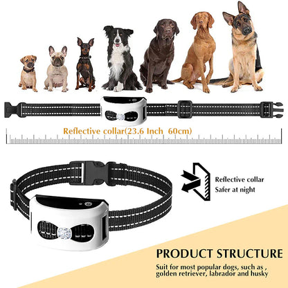 PawsGuard 2-in-1 Wireless Dog Fence & Training Collar - 9 Meters to 244 Meters Radius
