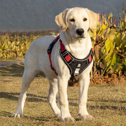 PawGuard Reflective No-Pull Dog Harness – Safe, Secure & Comfortable Walks