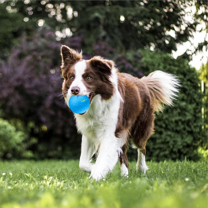 Pawfect Play LED Ball – Interactive Light-Up Pet Toy