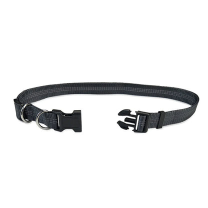 PacePup Hands-Free Dog Running Leash – Shock-Absorbing & Adjustable for Active Owners