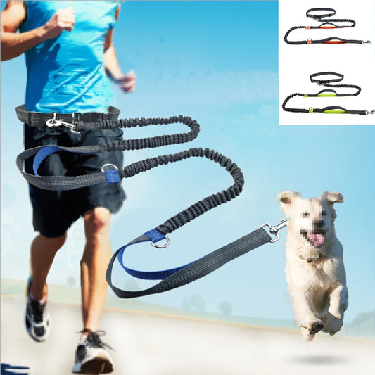 PacePup Hands-Free Dog Running Leash – Shock-Absorbing & Adjustable for Active Owners