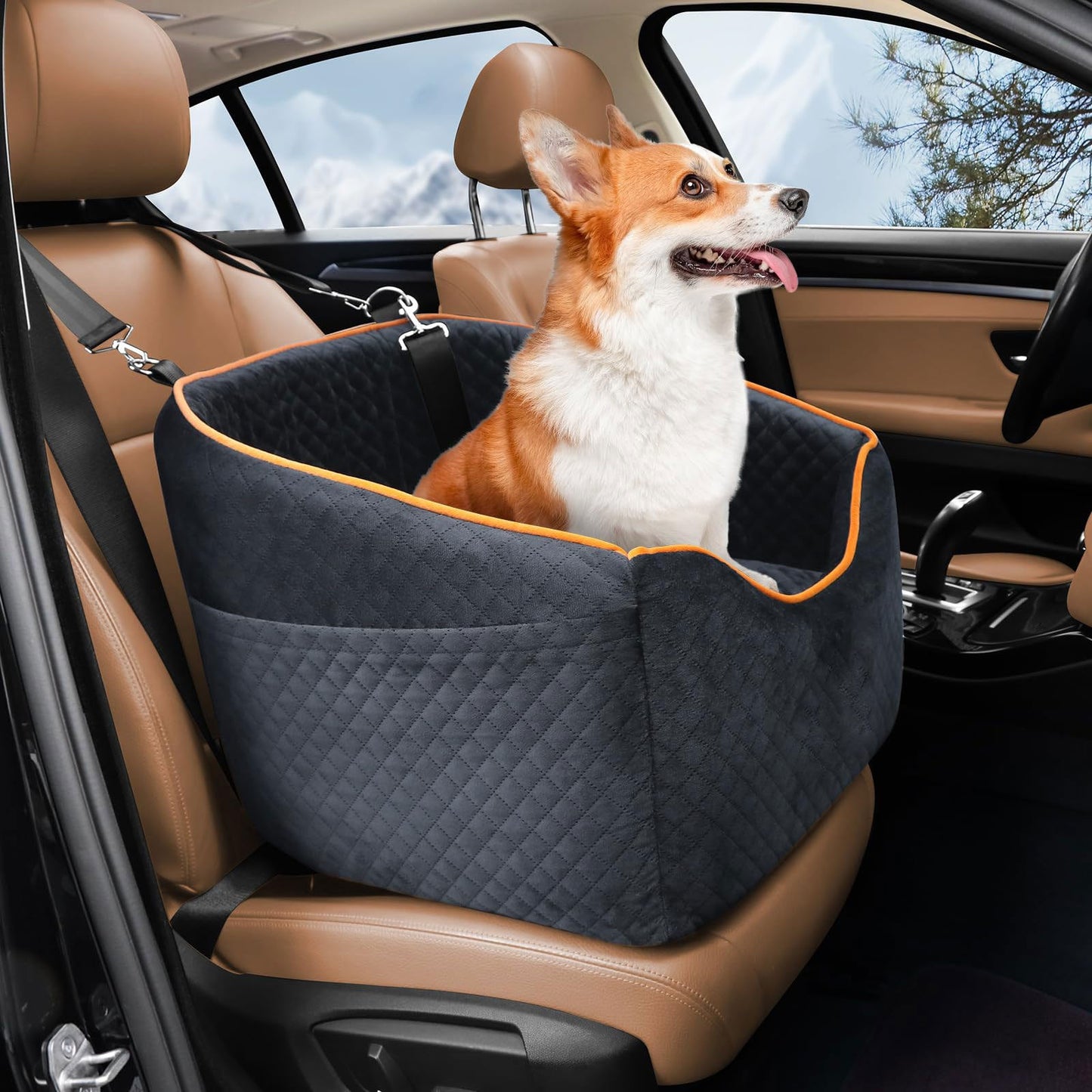 Pawsafe™ Elevated Dog Car Booster Seat – Secure & Comfortable Travel for Your Pup