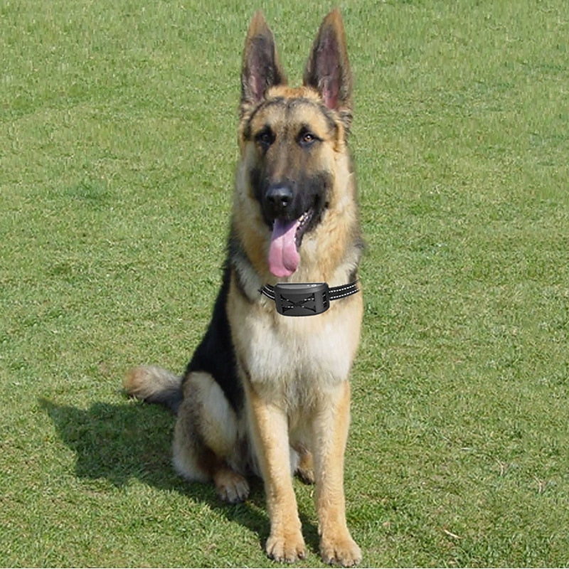 PawsGuard Wireless Pet Containment System - 9 Meters to 240 Meters Range