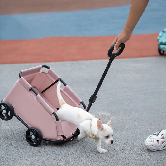 PawGo Pet Stroller – Easy, Comfortable & Secure Travel