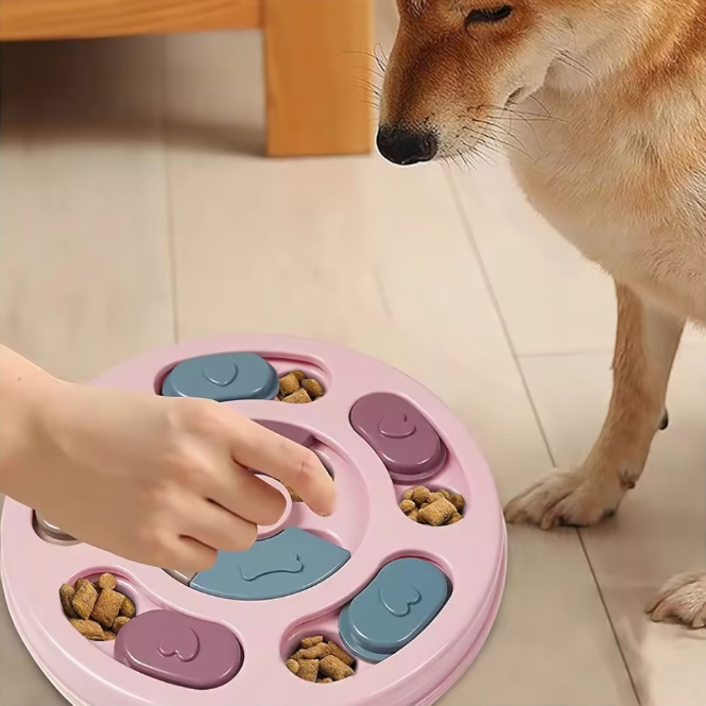 PawMaze™ Interactive Slow Feeder Bowl – Make Mealtime Fun & Healthy!