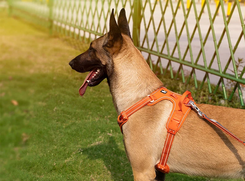 TrueLove Reflective No-Pull Dog Harness