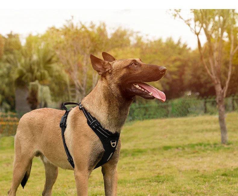 TrueLove Reflective No-Pull Dog Harness
