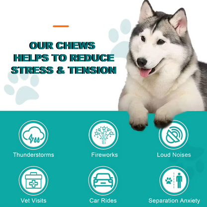 ZenPaws™ Calming Chews – Stress & Anxiety Relief for Dogs