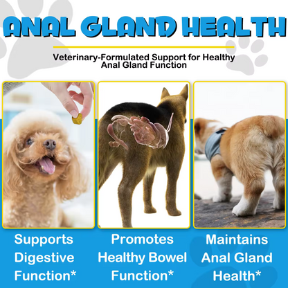 HappyTails™ Digestive Support Chews – Natural Relief for Anal Gland & Gut Health