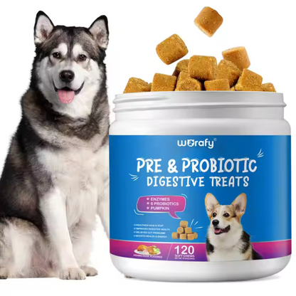 GutGuard™ Daily Probiotic Chews – Advanced Digestive & Gut Health Support for Dogs