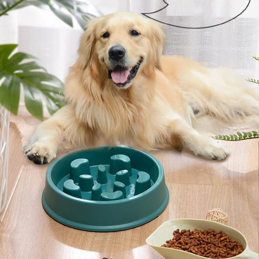 PawGuard™ Non-Slip Food Feeder – The Perfect Mess-Free Mealtime