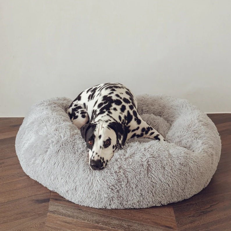 DreamPaws - Calming Plush Dog Bed for Ultimate Relaxation