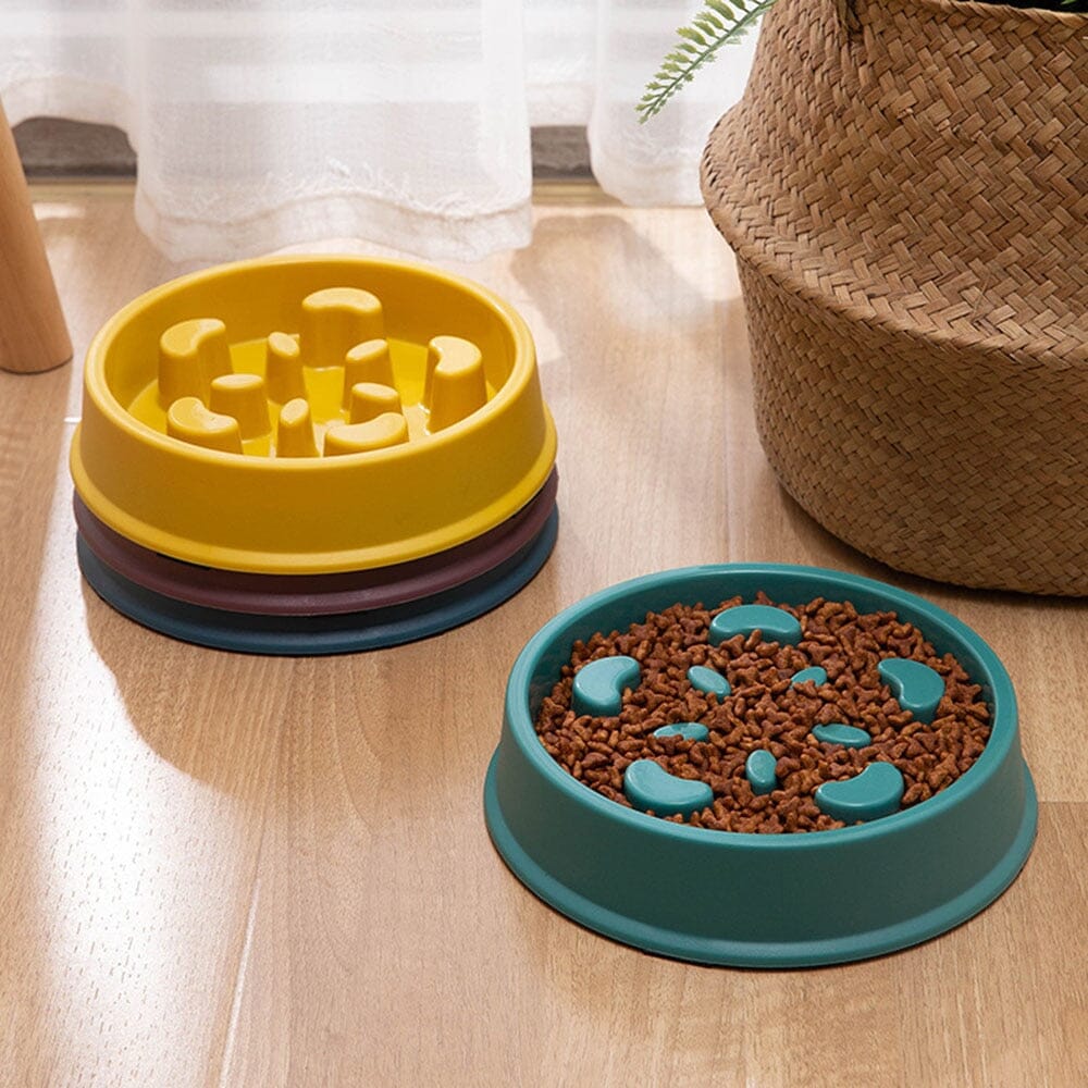 PawGuard™ Non-Slip Food Feeder – The Perfect Mess-Free Mealtime