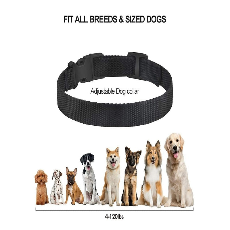 CalmBark Pro – Rechargeable No-Bark Dog Collar (3-Pack) for Gentle & Effective Training