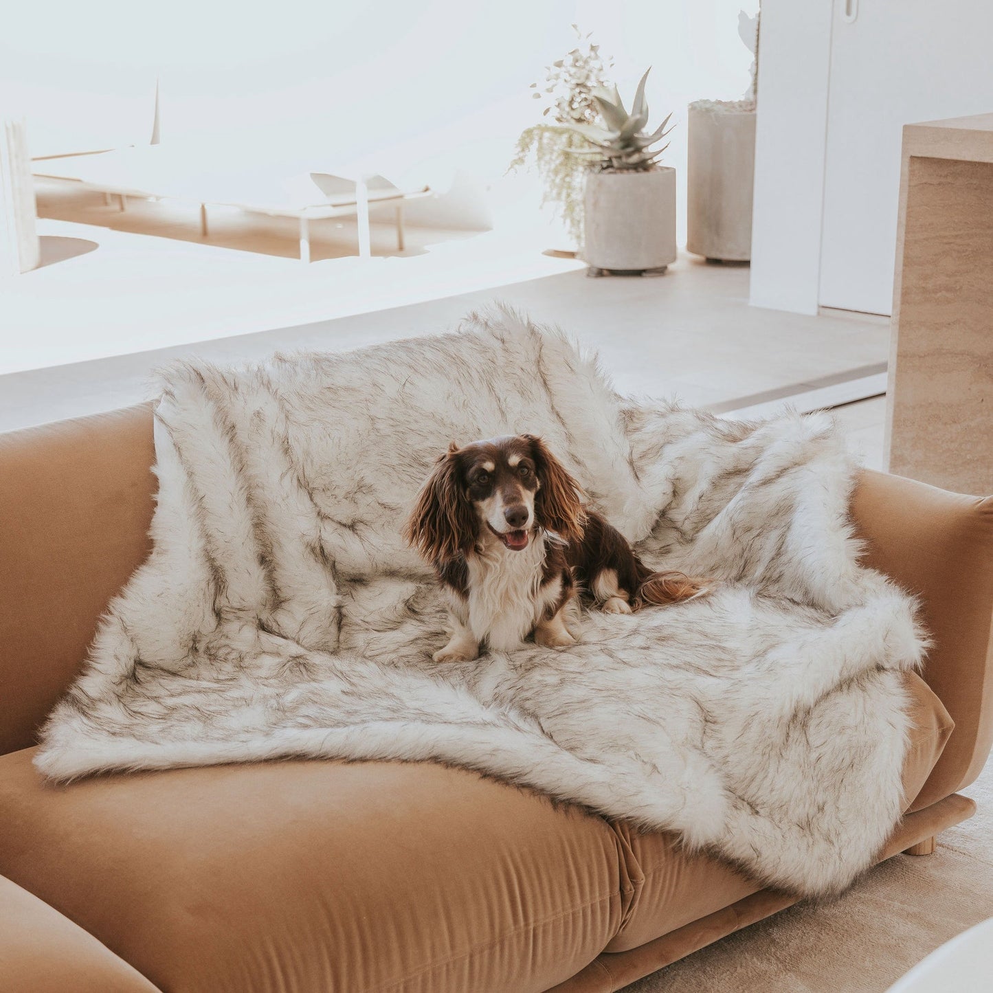 PawLuxe™ Deluxe Dog Throw – Ultra-Soft, Stylish & Protective Pet Blanket